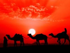 Казино и азартная жизнь на Ближнем Востоке