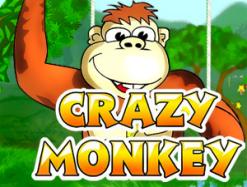 Игровой автомат Crazy Monkey — лучший в рейтинге казино Вулкан