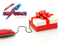 13 новинок сезона в нашем магазине!