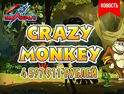 Лучший слот года – Crazy Monkey!